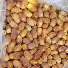 میوه | خرما زاهدی
