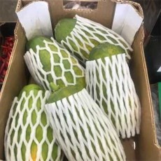  میوه | آناناس پاپایا