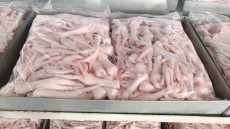  مواد پروتئینی | فرآورده گوشتی قیمت پای مرغ پنجه مرغ