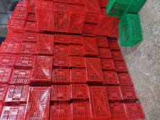  تجهیزات بسته بندی | سبد سبد گوجه ای  وسبد ماستی