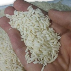  غلات | برنج برنج لنجان