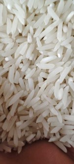  غلات | برنج برنج طارم روشن سه ستاره
