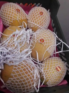  صیفی | خربزه خربزه راک