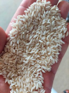  غلات | برنج برنج عنبر بو  فوق ممتاز