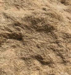  دامپروری | کاه کاه گندم دیمی بدونه خاک بصورت تحویل