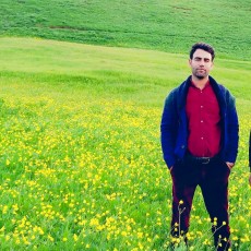  بذر و نهال |  پرس یونجه