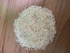  غلات | برنج طارم هاشی