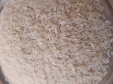  غلات | برنج برنج اعلا لنجان