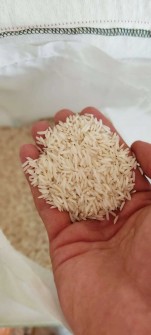  غلات | برنج برنج هاشمی درجه 1