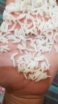  غلات | برنج برنج اعلا ایرانی