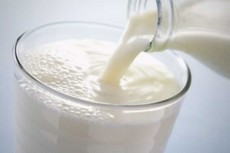  لبنیات | شیر شیر تازه پرچرب و کم چرب