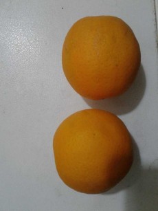  میوه | پرتقال پرتقال محلی یا بیروتی