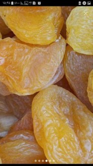  خشکبار | میوه خشک قیسی