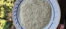  غلات | برنج برنج درجه یک فجر محلی گرگان