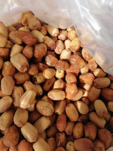  میوه | خرما رطب تاره