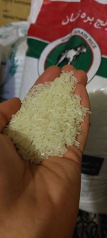  غلات | برنج برنج ایرانی شمال و جنوب