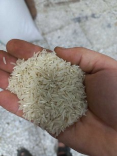  غلات | برنج برنج فجر