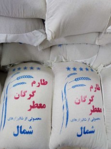  غلات | برنج برنج ایرانی به شرط پخت و عطر عالی