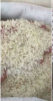 غلات | برنج برنج 1121 باسماتی هندی و پاکستانی