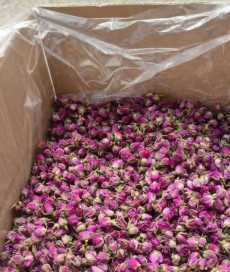  بذر و نهال | گل و گیاه غنچه و گل محمدی خشک شده