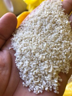  غلات | برنج نیم دانه طارم هاشمی