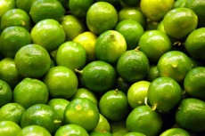  میوه | لیمو ترش لیمو ترش محلی جهرم