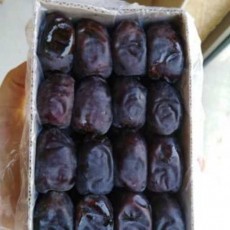  میوه | خرما مضافتی
