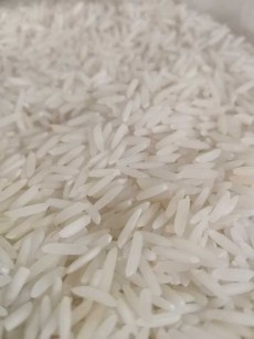  غلات | برنج هاشمی معطر درجه یک گیلان