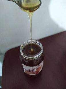  دامپروری | عسل طبیعی