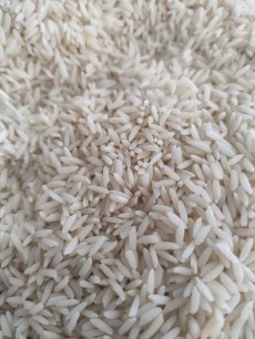  غلات | برنج برنج ایرانی