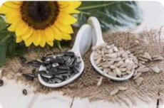  خشکبار | تخمه آفتابگردان تخمه افتابگردان