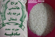 غلات | برنج طارم محلی هاشمی فجر کشت صادقیه صدر لاشه