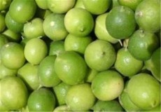  میوه | لیمو ترش لیمو ترش سبز