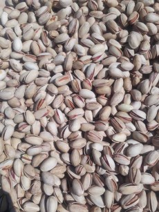  خشکبار | پسته پسته