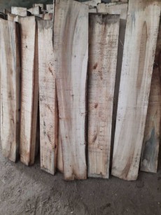  مصالح ساختمانی | چوب صنوبر. ابعاد چوب صنوبر