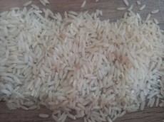  غلات | برنج برنج هاشمی اعلا