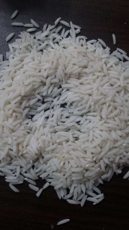  غلات | برنج برنج هاشمی درجه یک گیلان سورتینگ شده الک شده