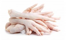  مواد پروتئینی | فرآورده گوشتی پای مرغ صادراتی و پای ضایعاتی