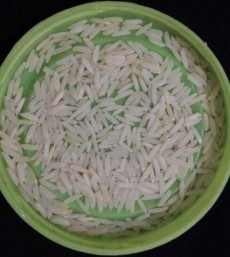  غلات | برنج برنج شیرودی