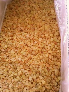  خشکبار | کشمش کشمش تیزآبی و انگوری طلایی