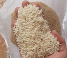  غلات | برنج برنج فجر درجه 1 سورت