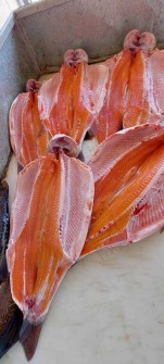  مواد پروتئینی | ماهی فیله ماهی