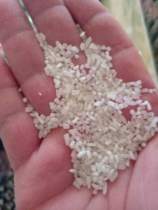  غلات | برنج برنج نیمدانه خارجی