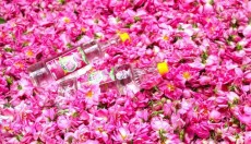  نوشیدنی | گلاب گلاب مصرفی با کیفیت بالا