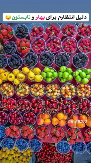 میوه | آناناس آووکادو و انواع میوه های استوایی