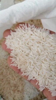  غلات | برنج برنج ایرانی اصیل بشرط خالص بودن