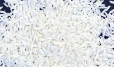  غلات | برنج هاشمی و طارم