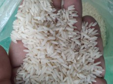  غلات | برنج برنج طهرم هاشمی
