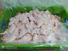  مواد پروتئینی | گوشت بال و بازو 3تکه مرغ منجمد