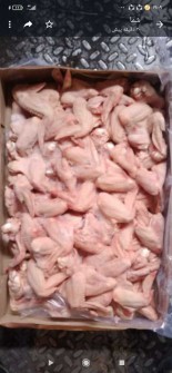  مواد پروتئینی | فرآورده گوشتی بال ماهیچه مرغ